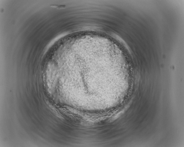 X0000081491019200701262048