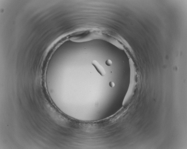 X0000081491020200701262048