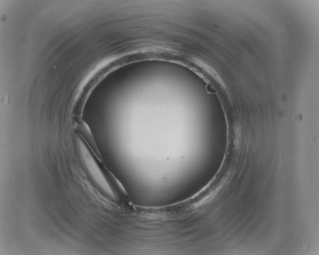 X0000081491021200701262048