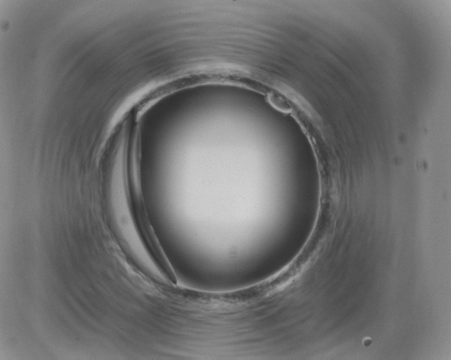 X0000081491022200701262048