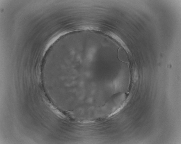 X0000081491023200701262048