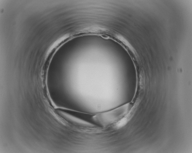 X0000081491026200701262048