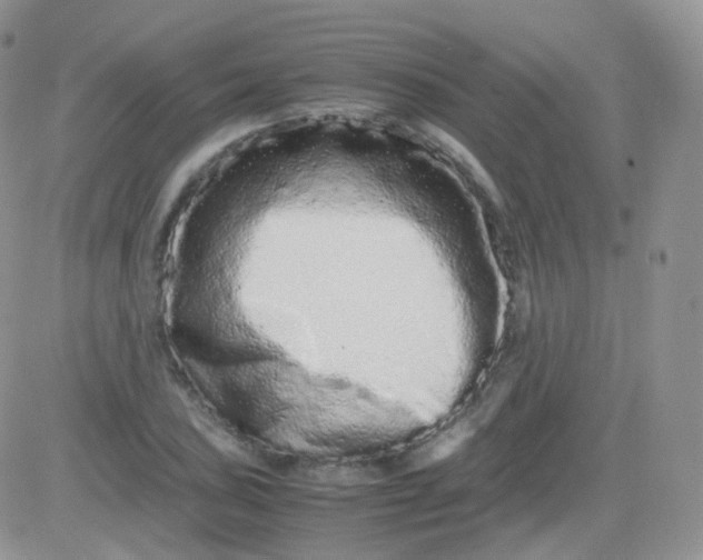 X0000081491027200701262048