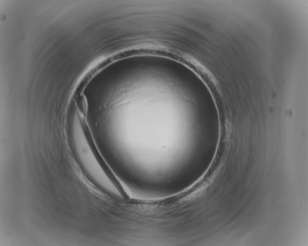 X0000081491029200701262048