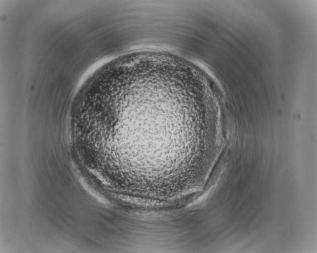 X0000081491030200701262048