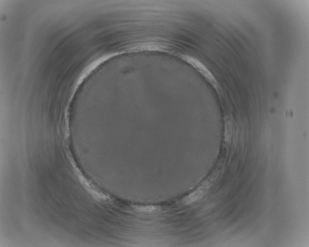 X0000081491031200701262048