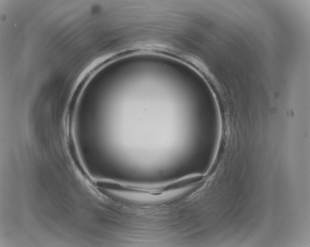 X0000081491032200701262048