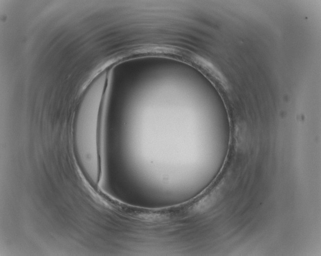 X0000081491033200701262048