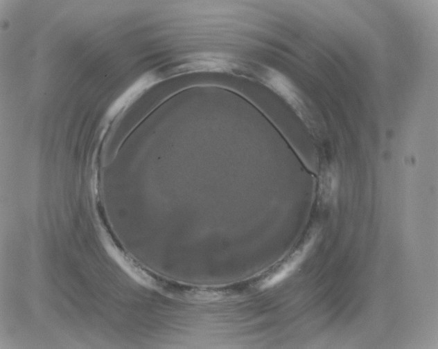 X0000081491034200701262048