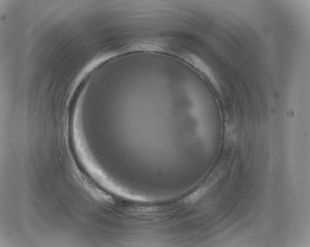 X0000081491035200701262048