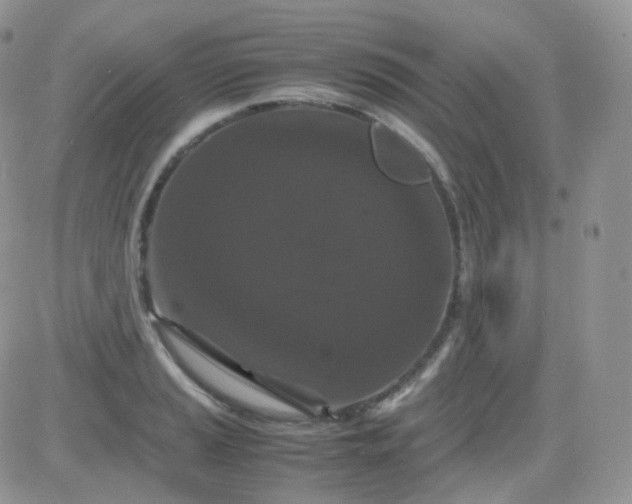 X0000081491037200701262048