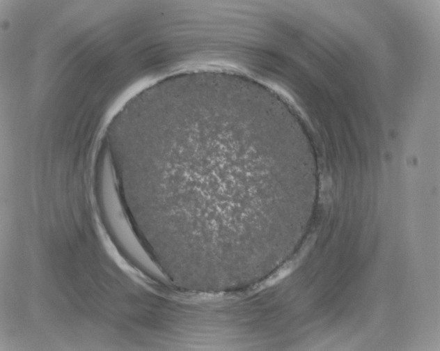 X0000081491038200701262048