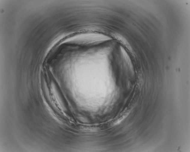 X0000081491039200701262048