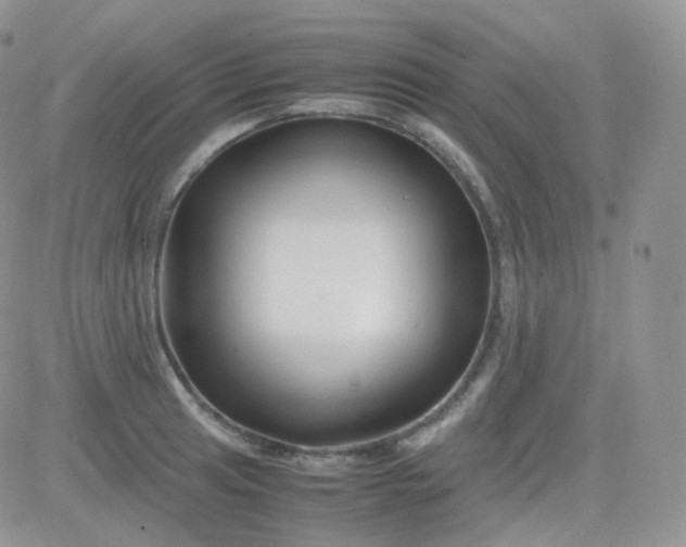 X0000081491041200701262048