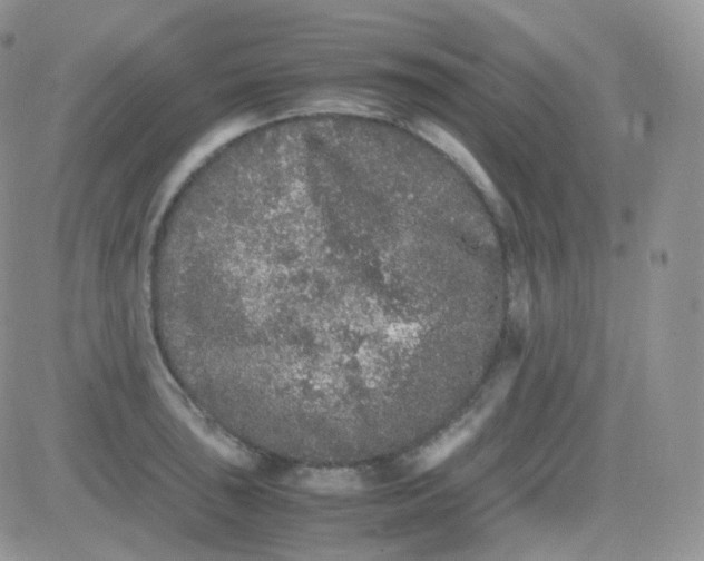 X0000081491043200701262049