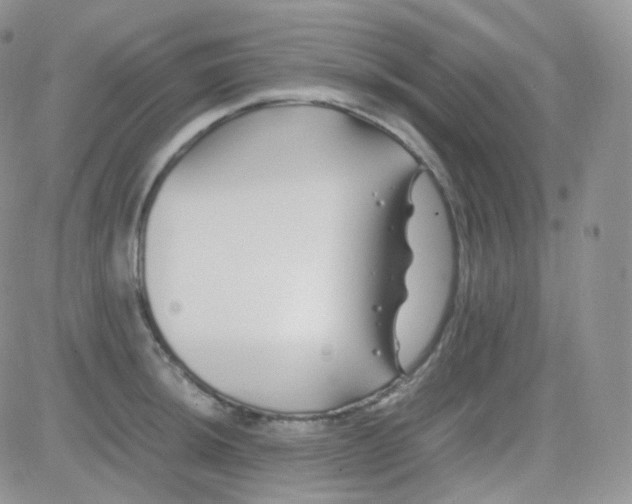 X0000081491044200701262049