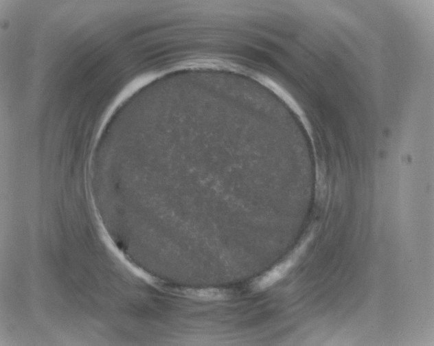 X0000081491045200701262049