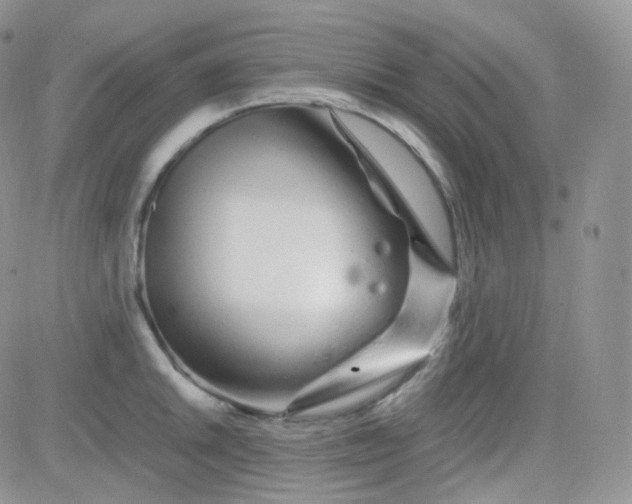 X0000081491046200701262049