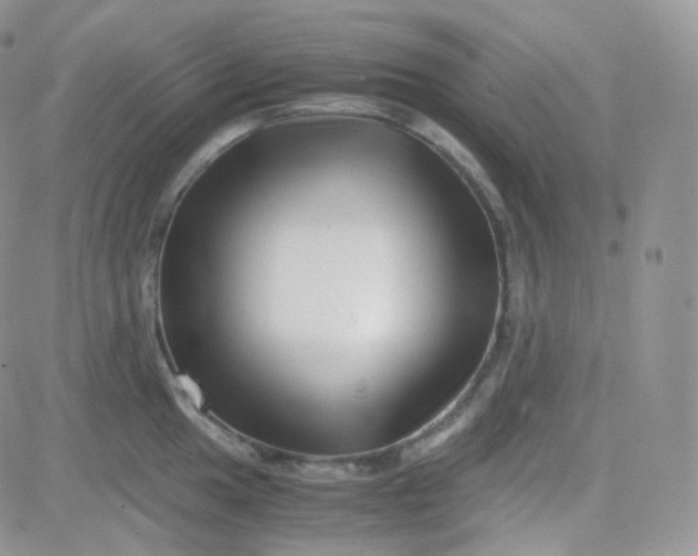 X0000081491049200701262049