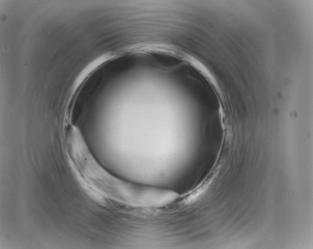 X0000081491050200701262049