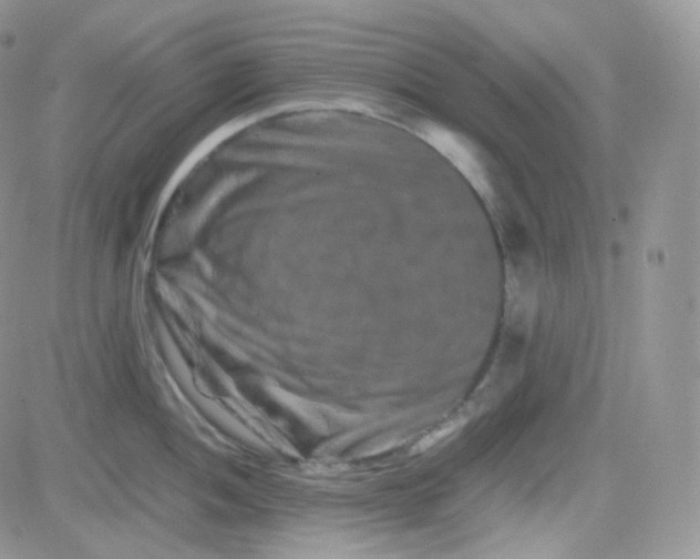 X0000081491052200701262049