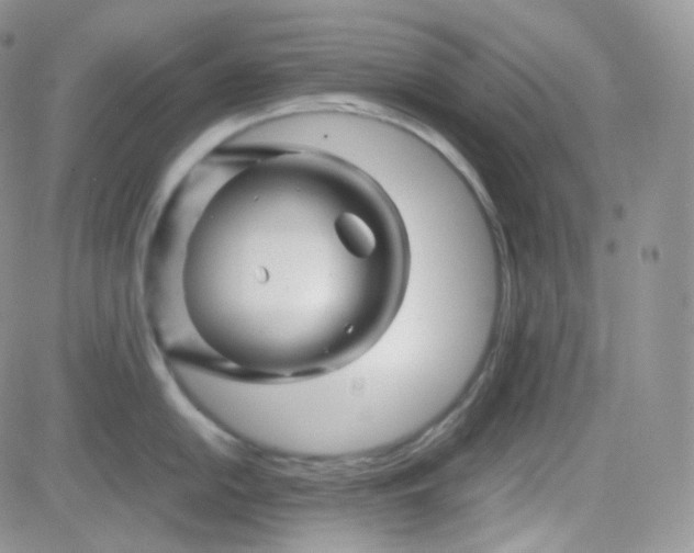 X0000081491054200701262049