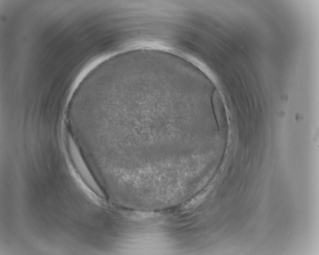 X0000081491056200701262049