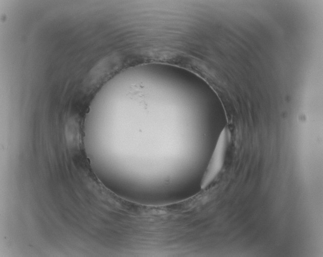 X0000081491058200701262048