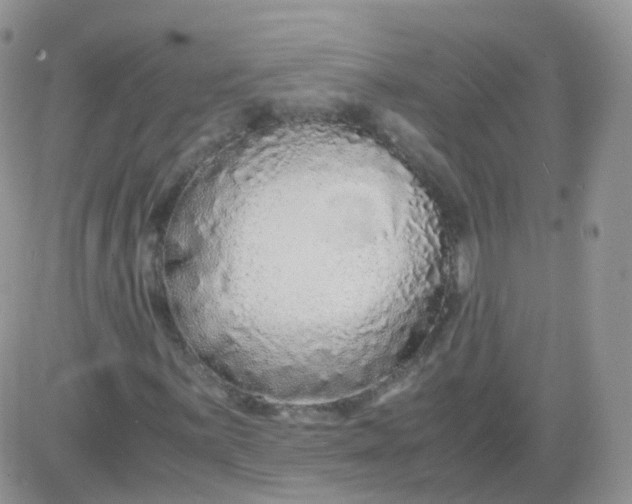 X0000081491059200701262048