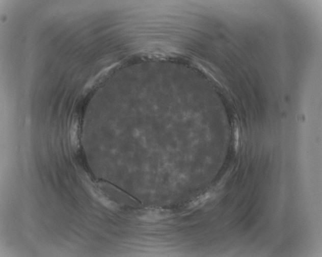 X0000081491060200701262048