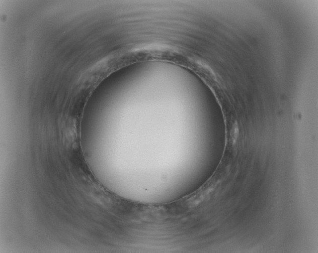 X0000081491062200701262048