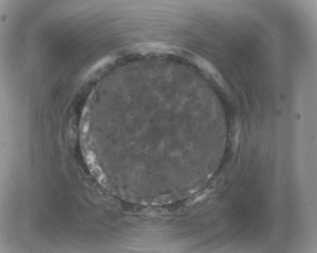 X0000081491063200701262048