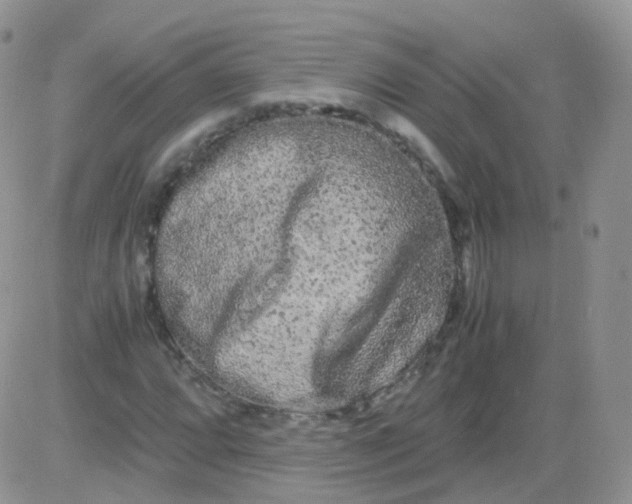 X0000081491064200701262048