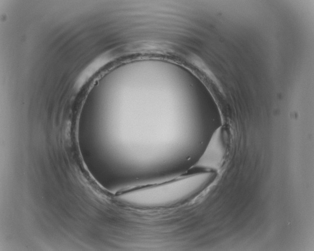 X0000081491066200701262048