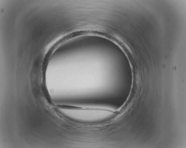 X0000081491069200701262048