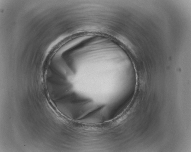 X0000081491070200701262048