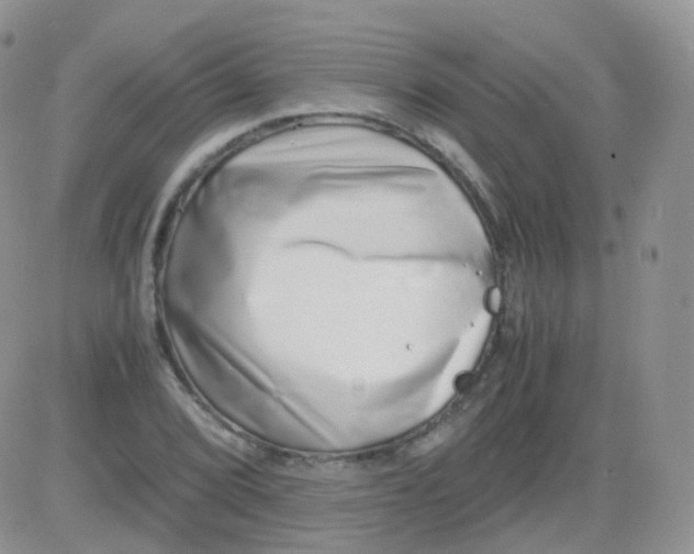 X0000081491072200701262048