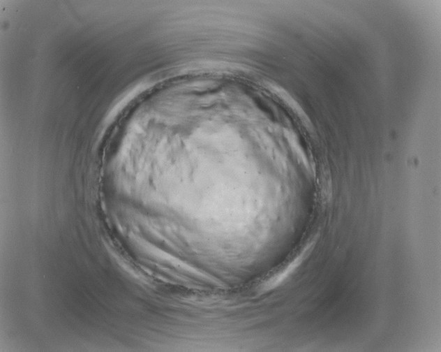 X0000081491075200701262048