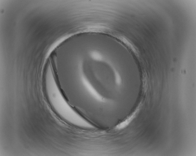 X0000081491077200701262048