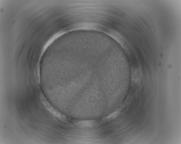 X0000081491078200701262048