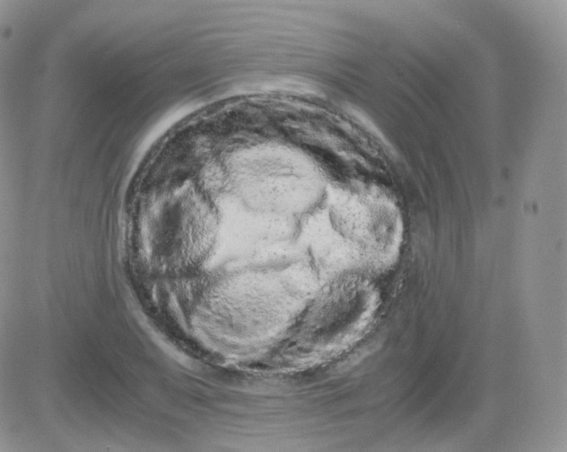 X0000081491079200701262048