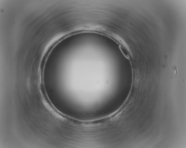 X0000081491080200701262048