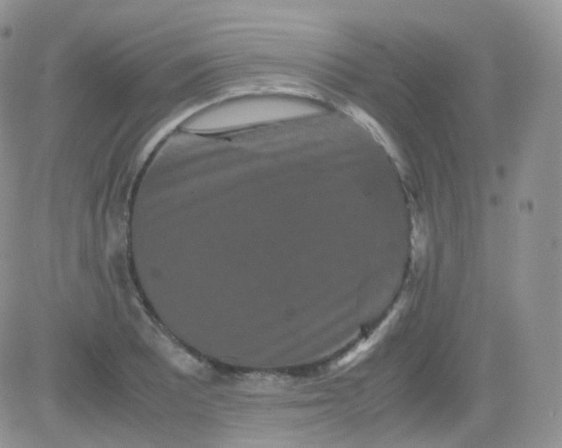 X0000081491081200701262048