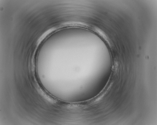 X0000081491082200701262048