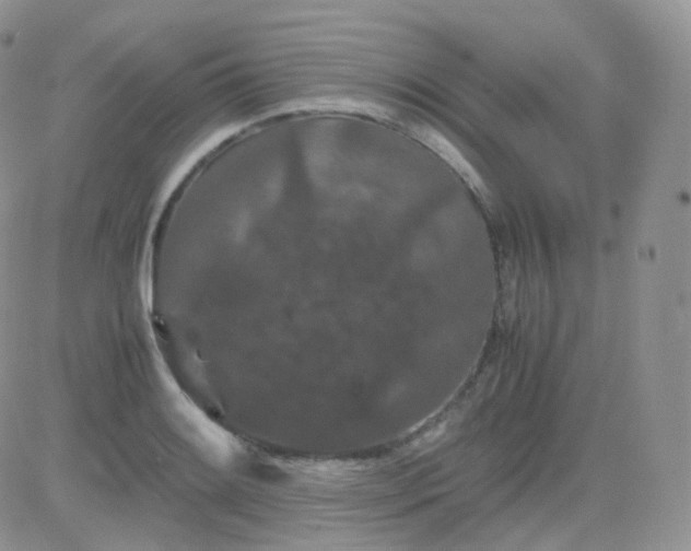 X0000081491084200701262048