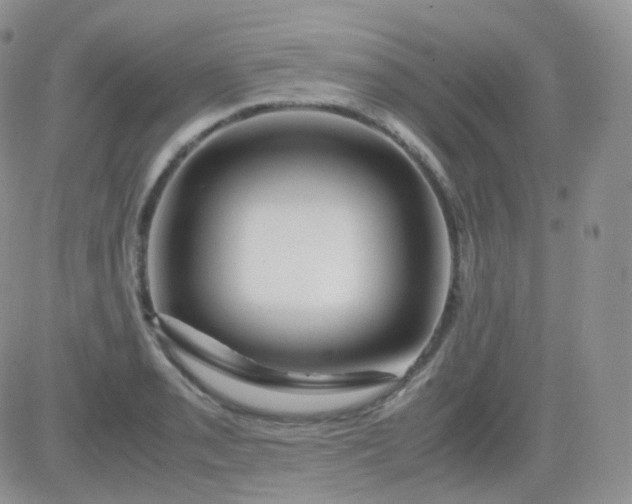 X0000081491085200701262047