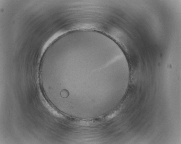 X0000081491086200701262047