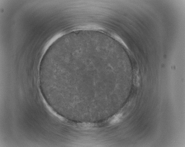 X0000081491087200701262047