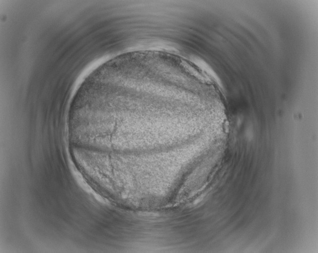 X0000081491088200701262047