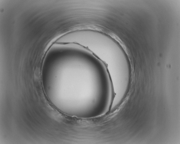 X0000081491089200701262047